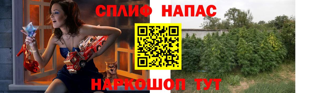 Конопля планчик Отрадное